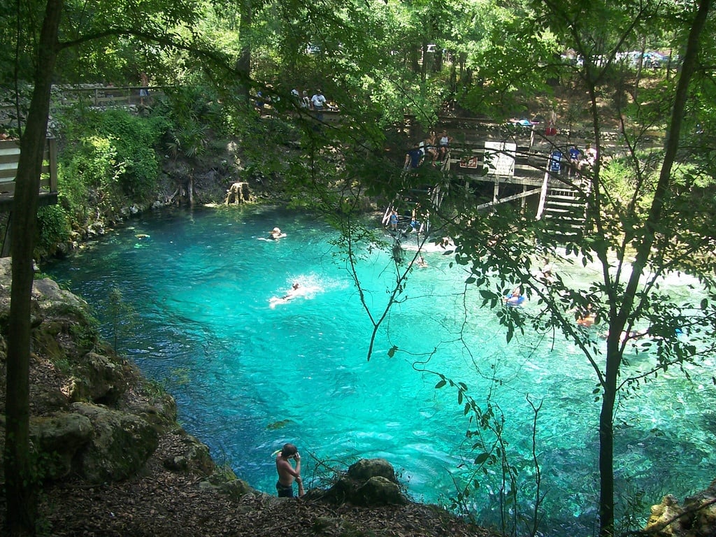 freshwater spring in central florida