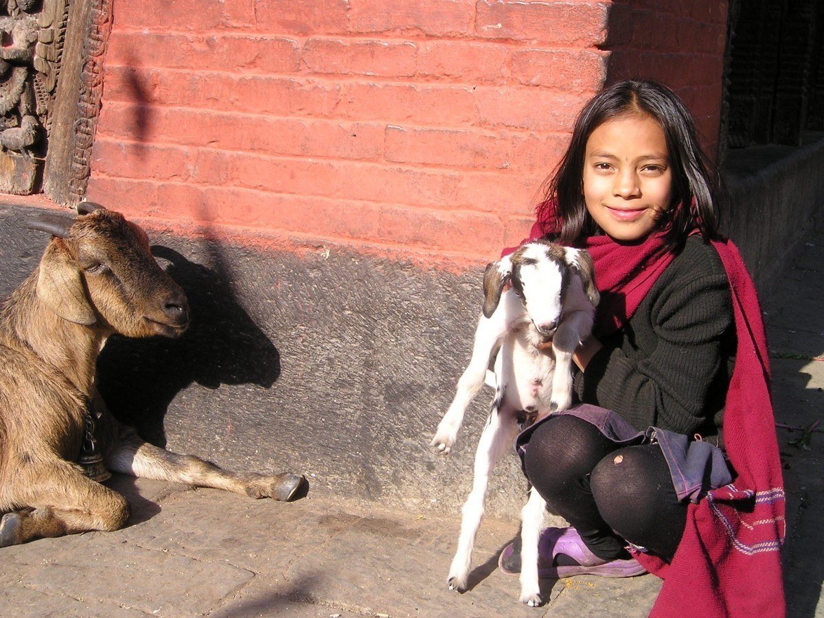 Volunteering overseas in Nepal