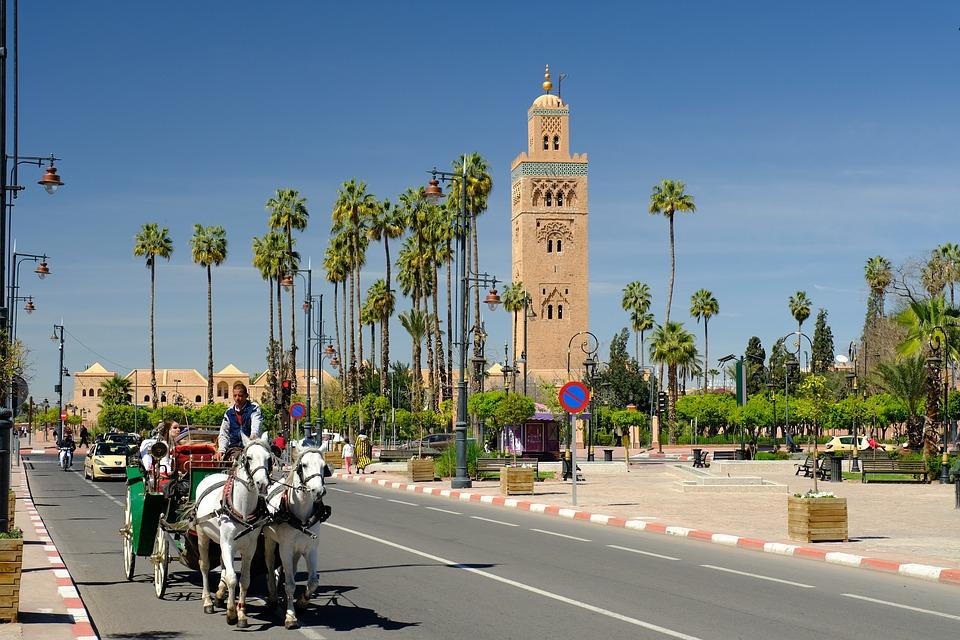 Transport by horse and carriage in Morocco