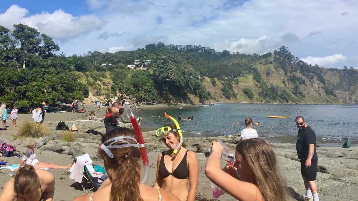 Group of people getting ready to snorkel at Goat Island, just up from auckland, new zealand