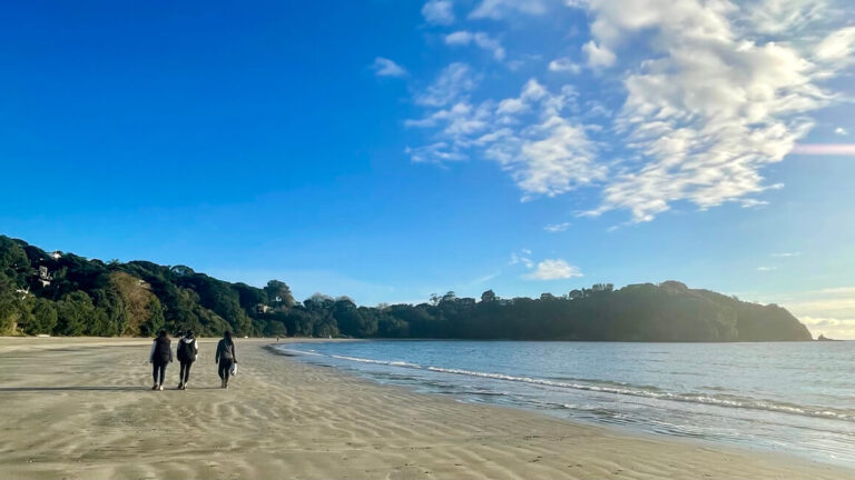 Best Road Trips in Auckland (4 Best Destinations