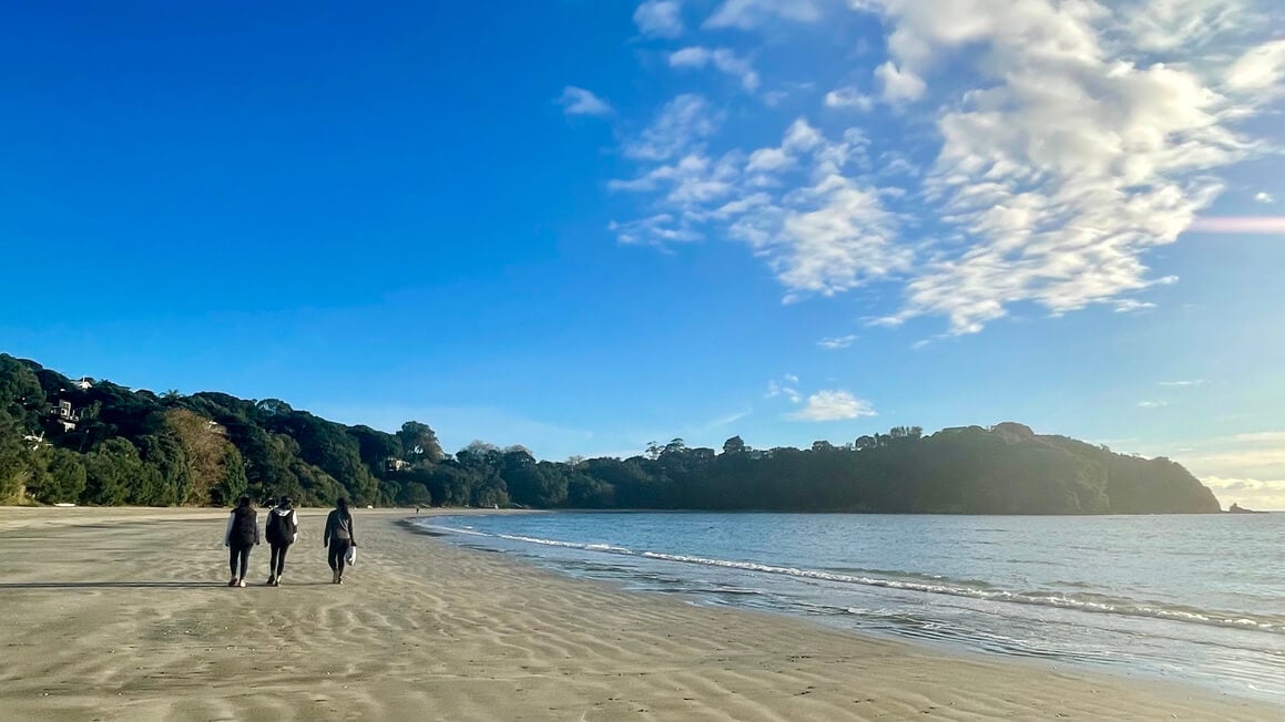 friends walking down beach in winter on waiheke island off auckland, new zealand