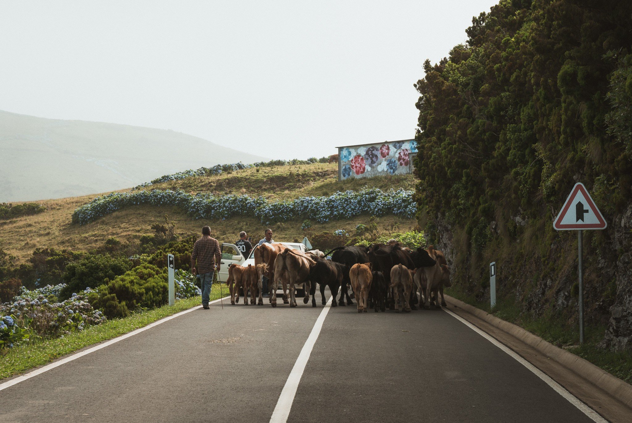 traveling around the Azores