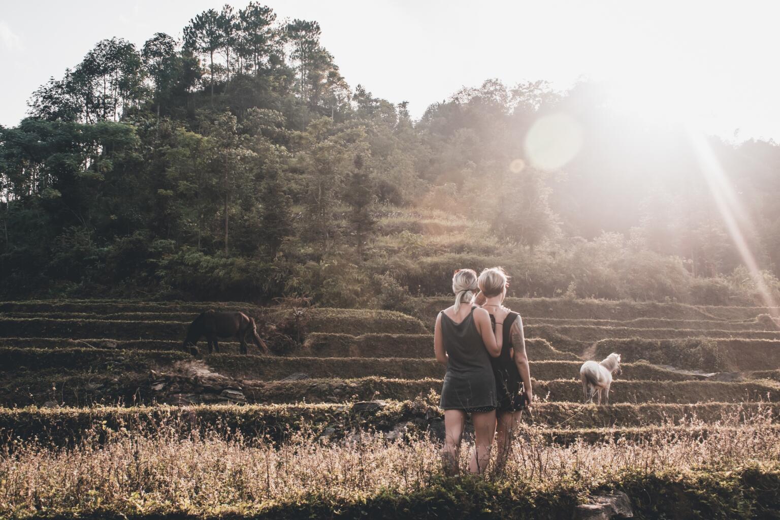 rice paddies at sunset on Giang Loop in Vietnam