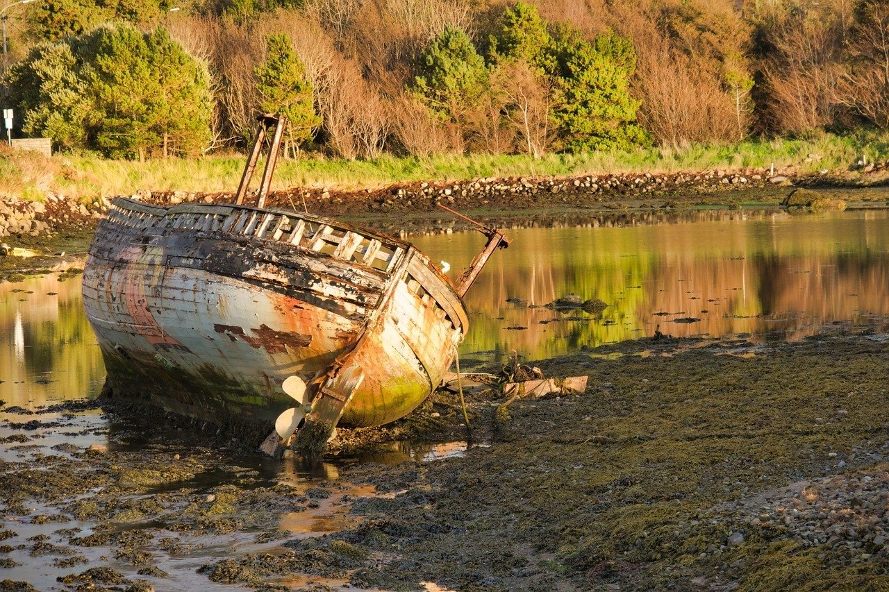 Washed up boat on a river with lush greenery in the background.