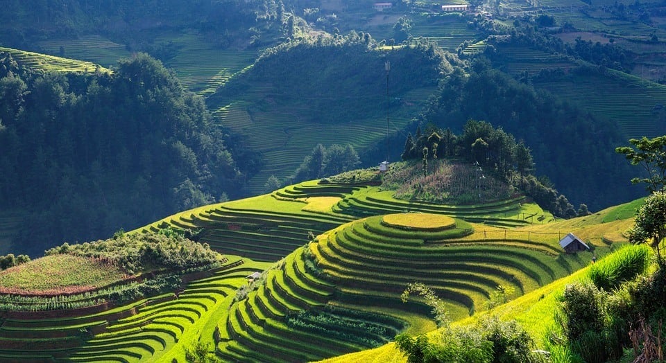 Safety Vietnam guide rice terraces 