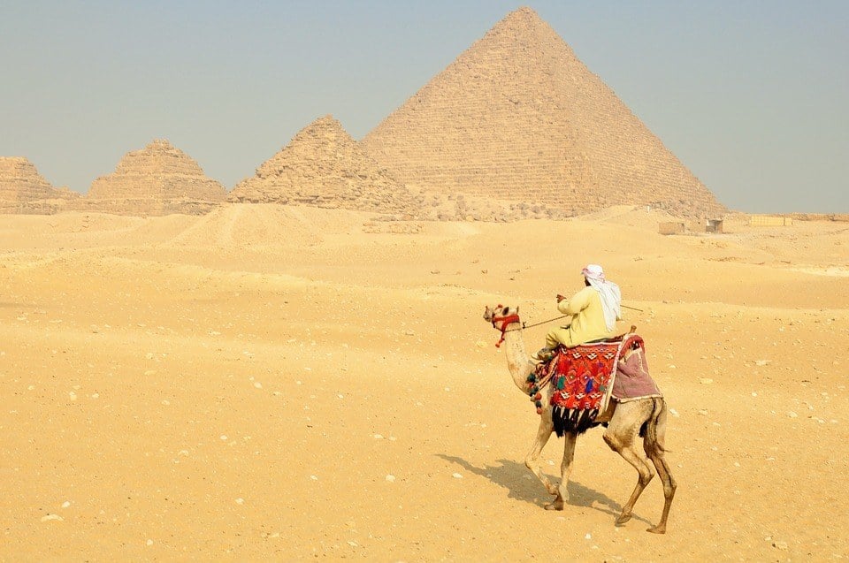 een eenzame kameeltrekker veilig in Egypte