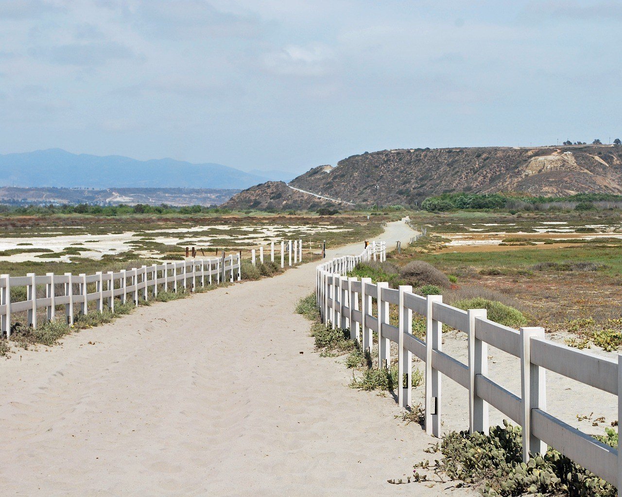 beach near san diego travel guide
