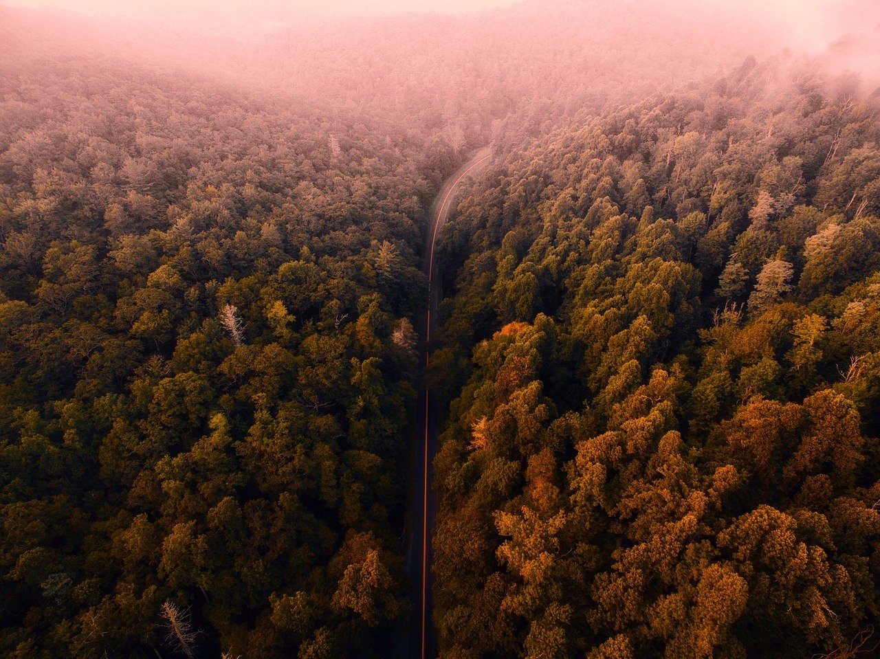 road driving through the blue ridge mountains, virgina