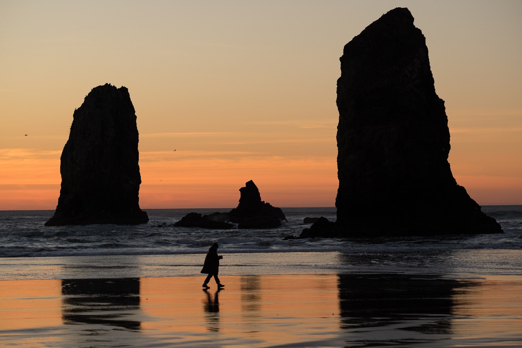 best hikes on the oregon coast