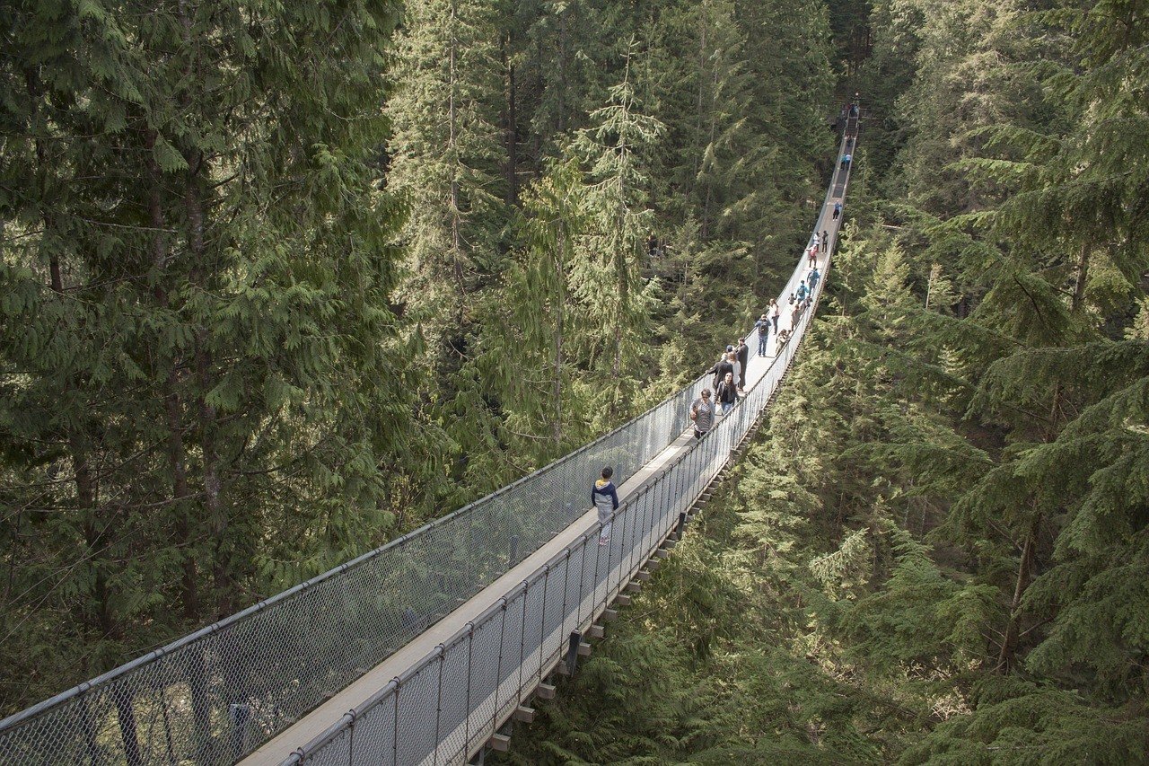 capilano suspension bridge vancouver