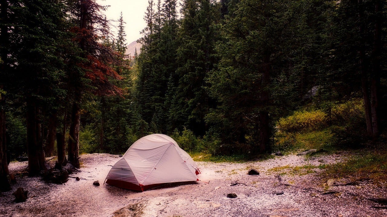 colorado camping in the moutains tent woods