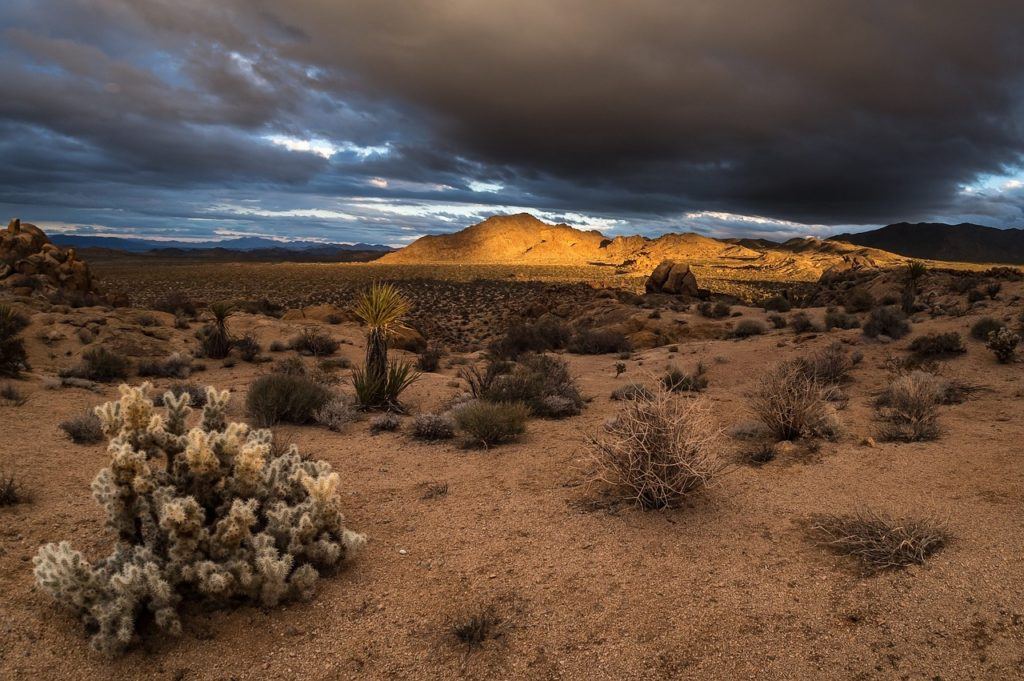 desert sunset in california