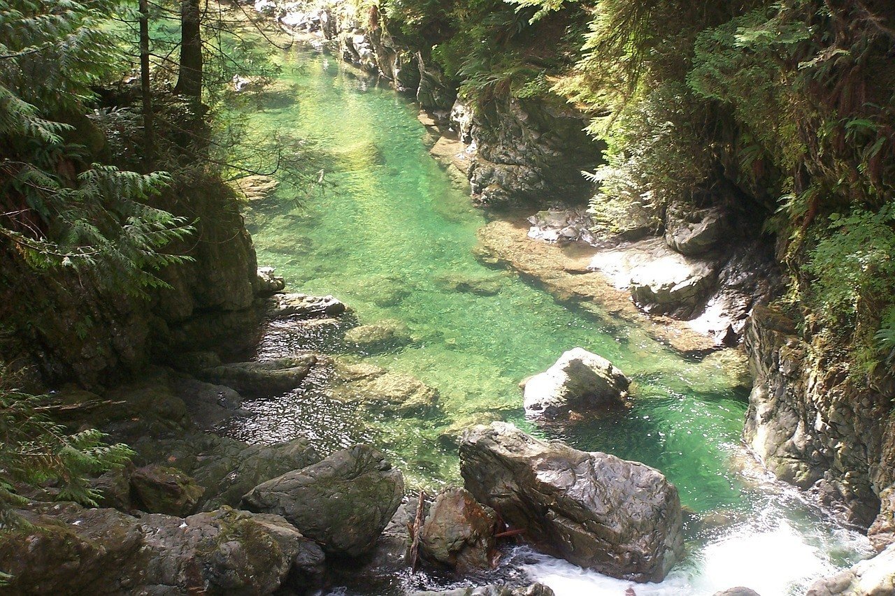 lynn canyon backpacking vancouver