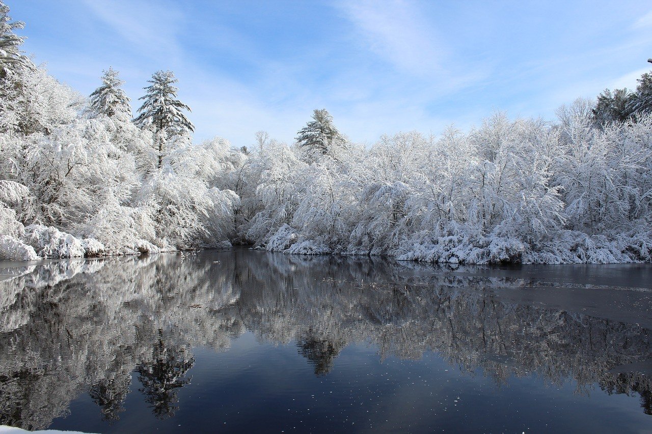 snowy new england scene frozen trees and pond