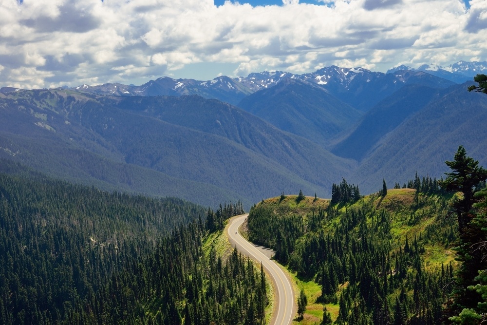 olympic national park hurricane ridge road washington state road trip