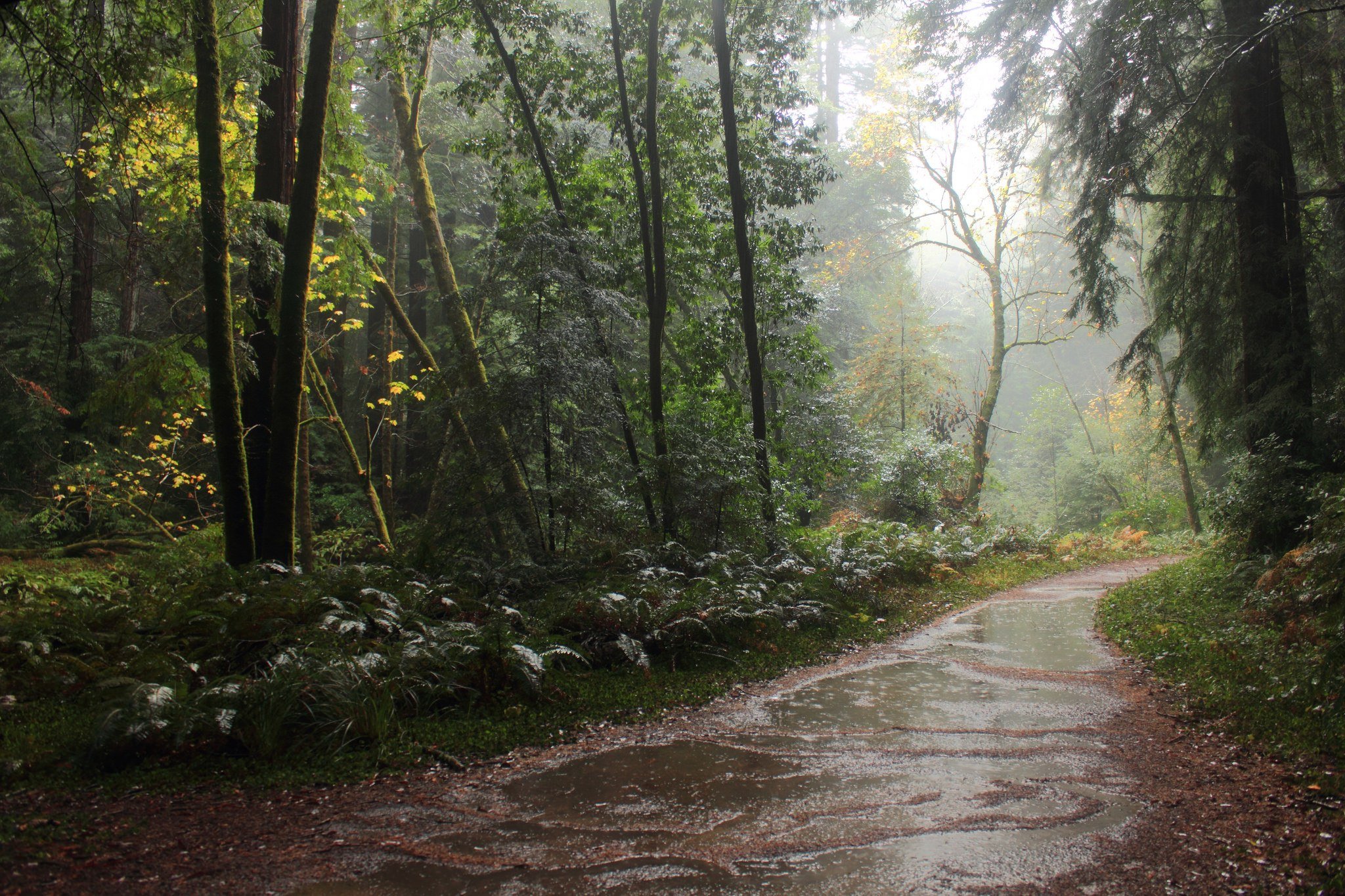 best hikes around the Bay Area