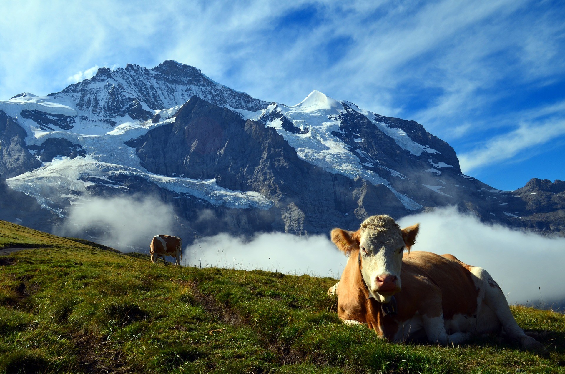 Mountain view of Grindelwald, Interlaken