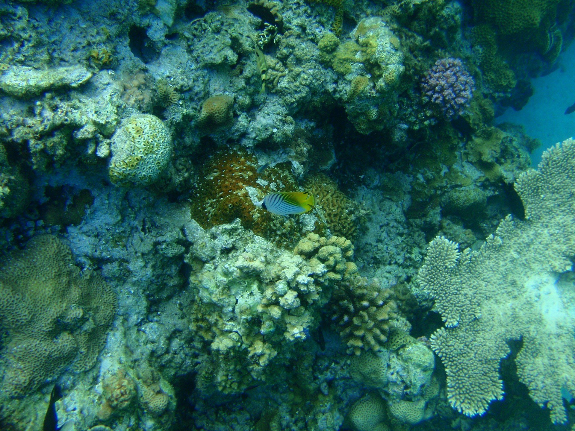 Kerama Islands, Okinawa