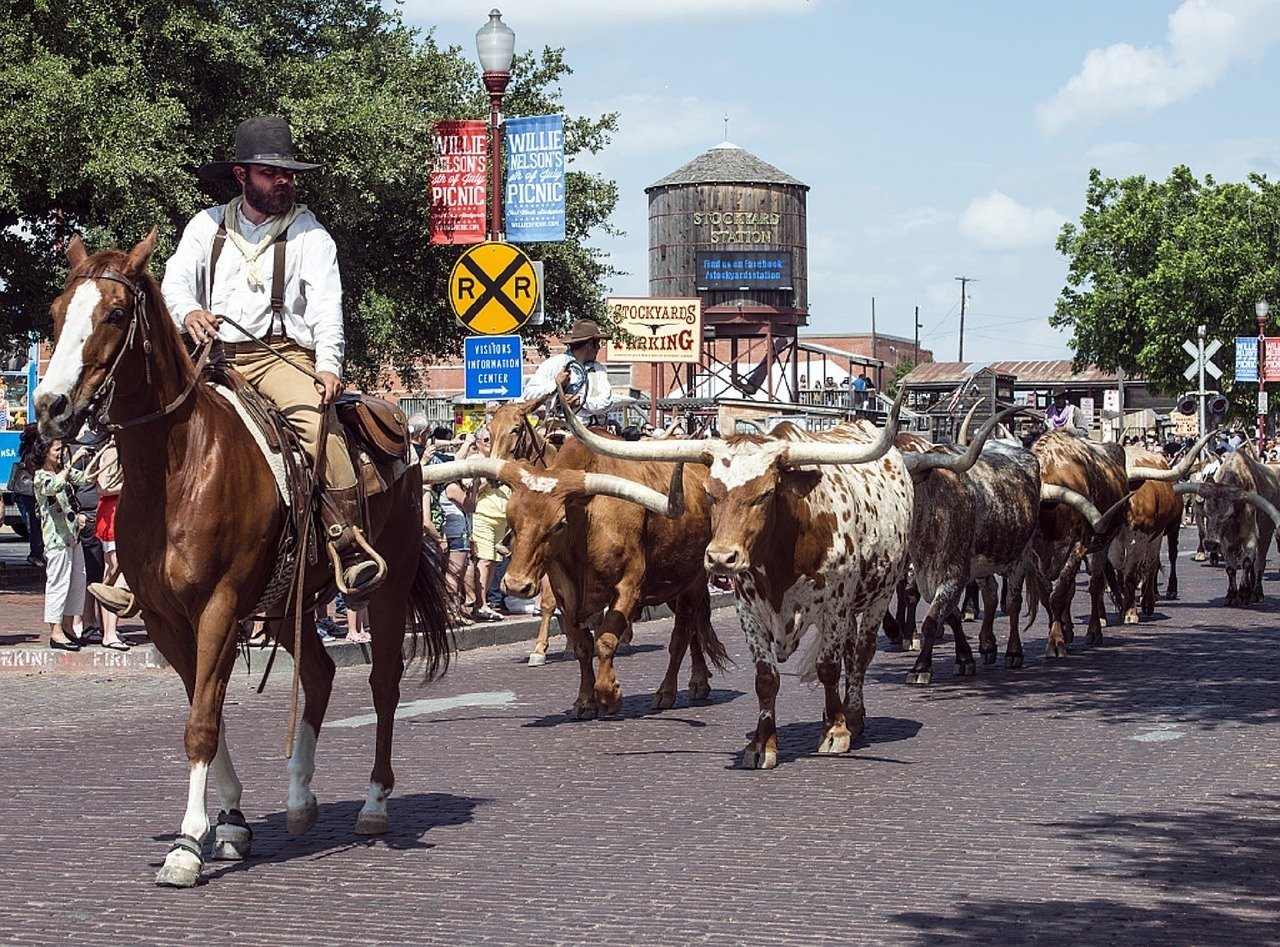 things to do in fort worth stockshow
