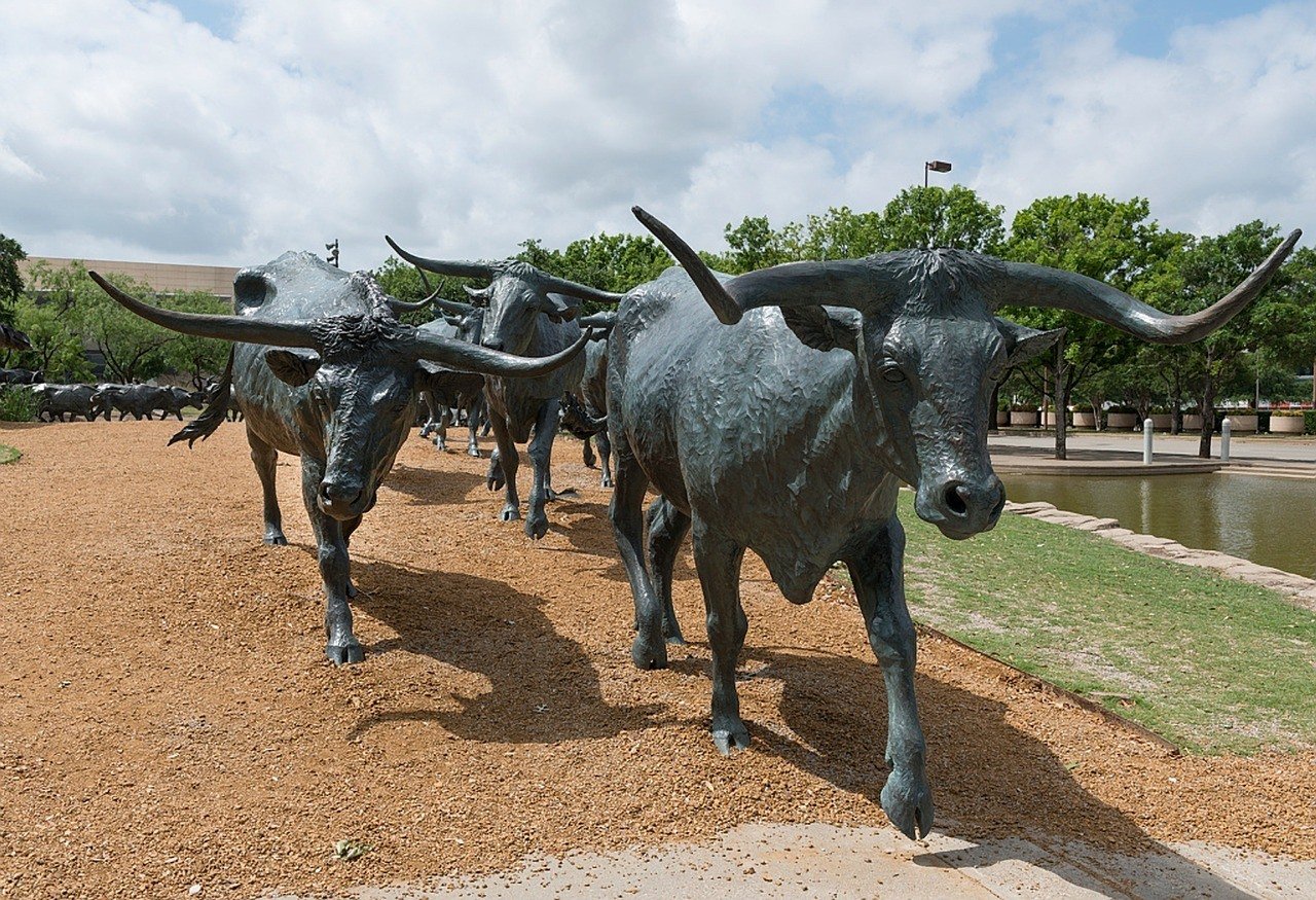 place to visit in dallas stock bulls statues