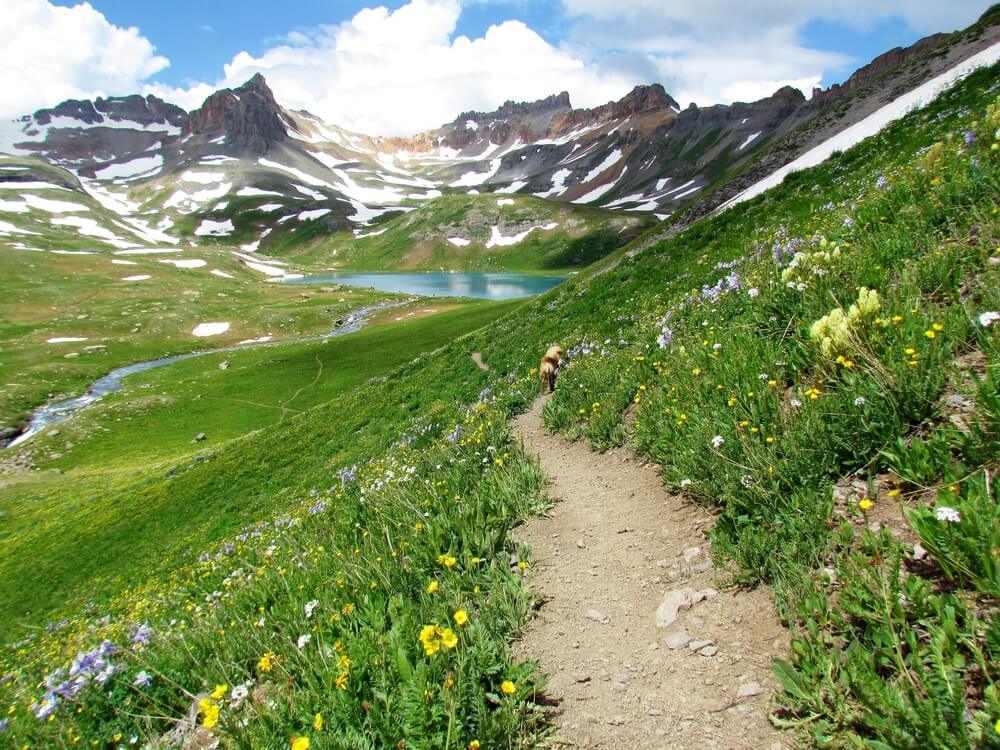 ice lakes basin trail colorado 