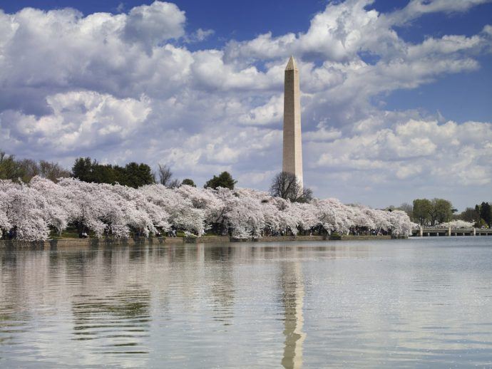 washington dc monument spring