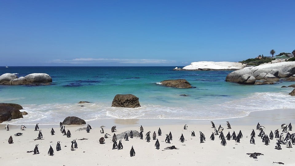 Boulders Beach