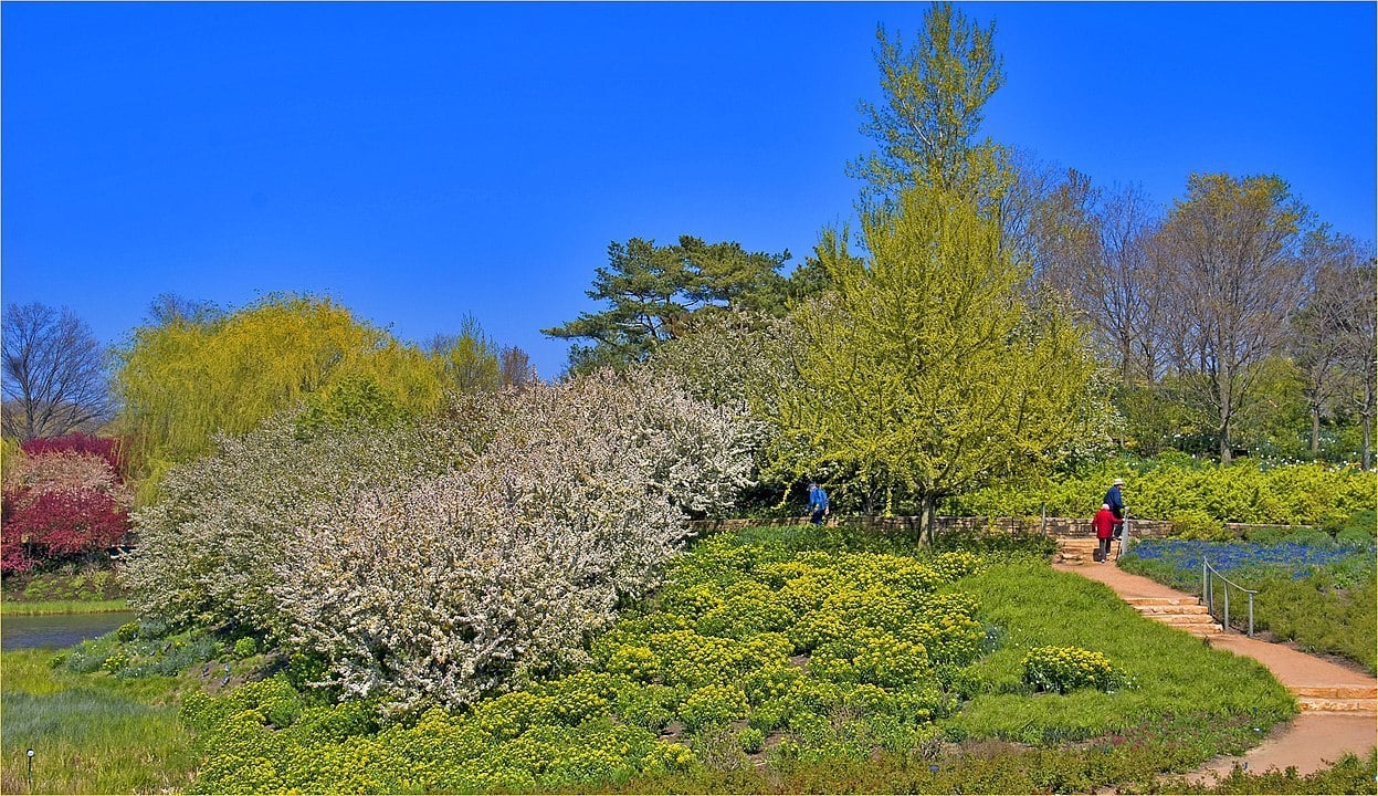 Chicago Botanic Garden, Chicago