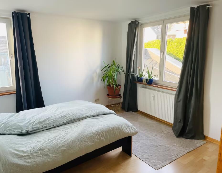 Entire rental unit