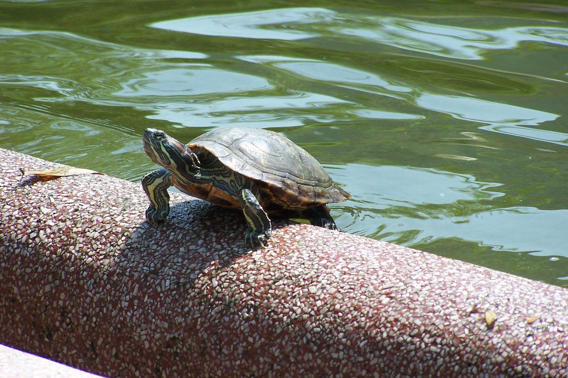 Hong Kong Park