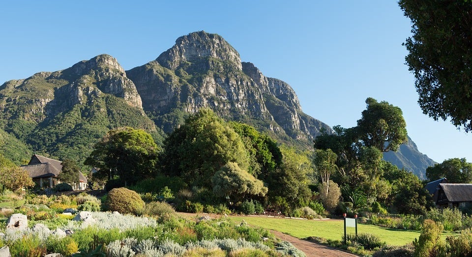 Kirstenbosch National Botanical Garden