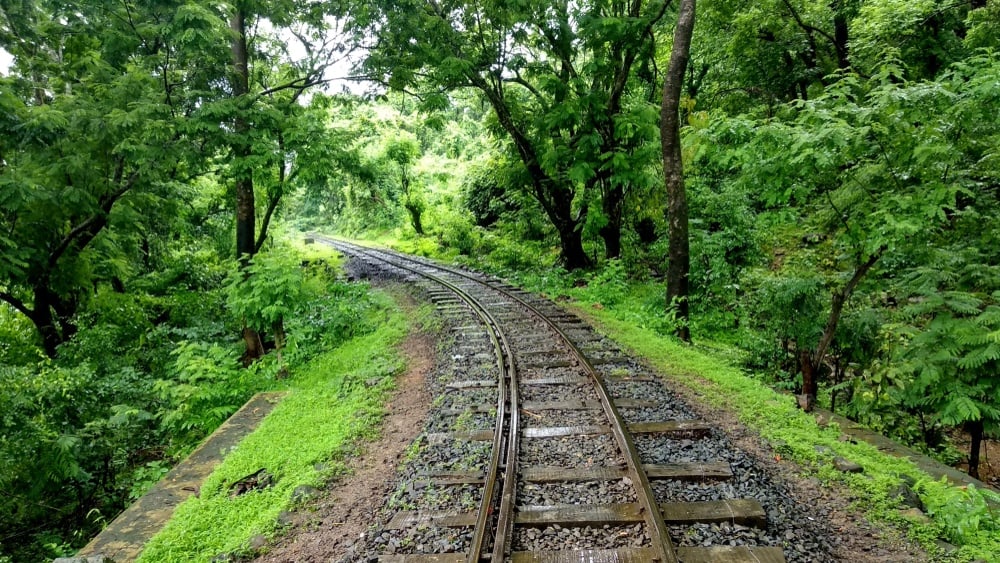 Sanjay Gandhi National Park mumbai