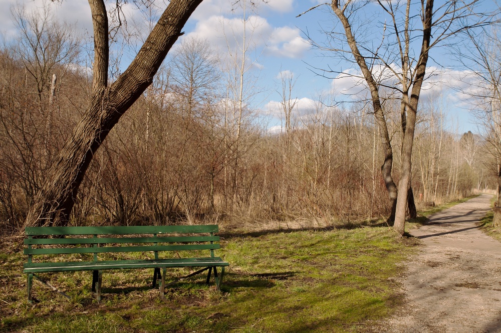 Squirrel Hill, Pittsburgh