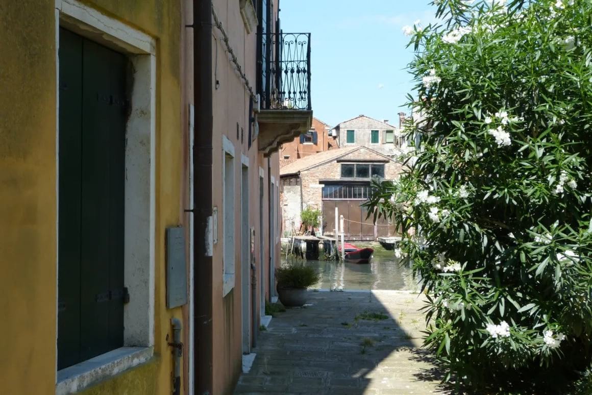 Veneziacentopercento