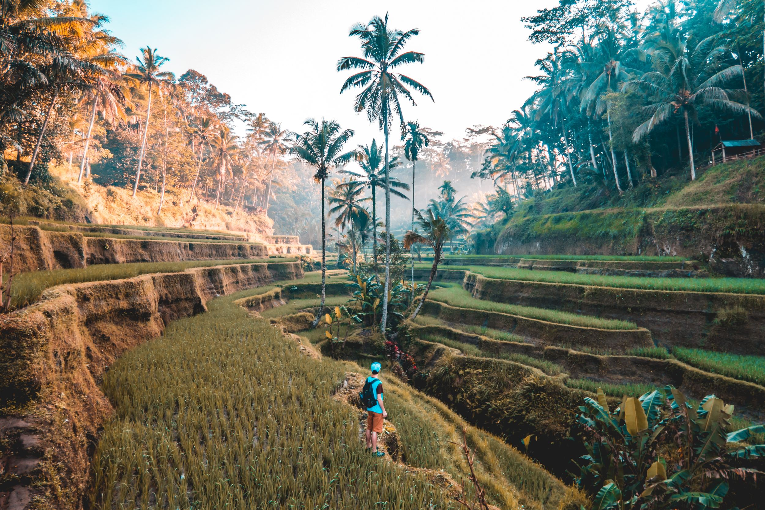 bali safe to travel alone