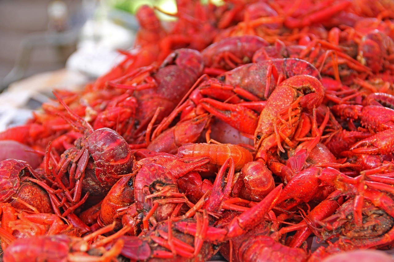 crawfish in new orleans where to eat