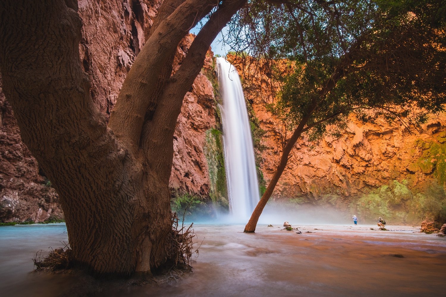 havasupai grand canyon day trip driving from las vegas, nevada