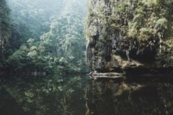 Is Malaysia Safe for Travel? (Insider Tips)