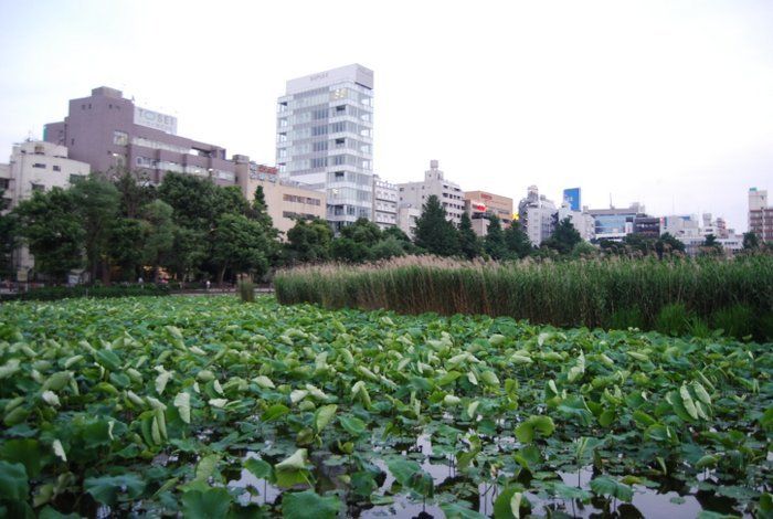 Tokyo Parks