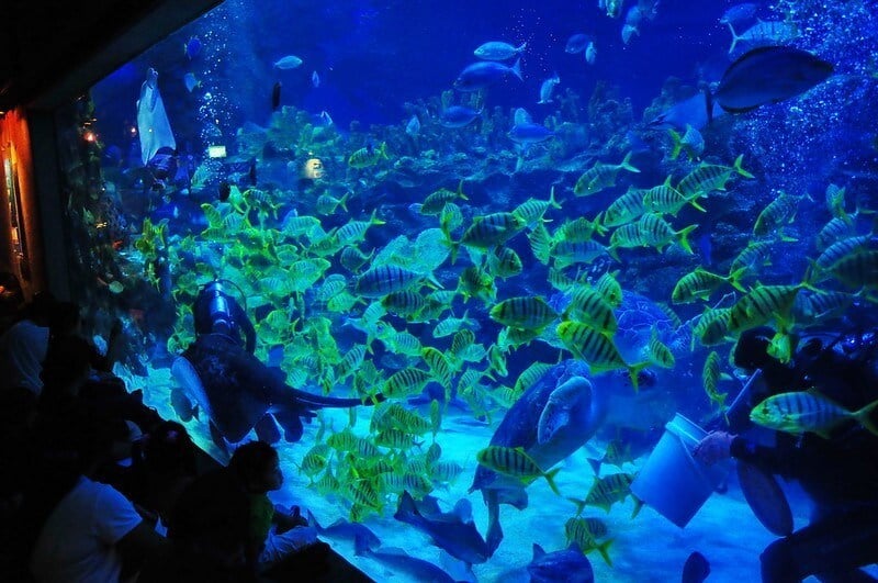 Aquaria KLCC