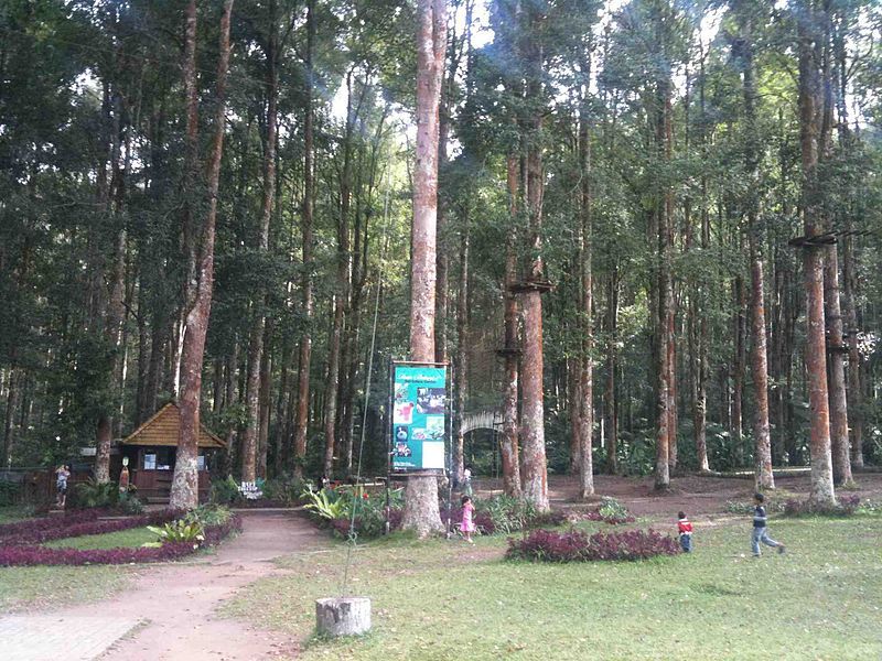 Bali in Treetop Adventure Park