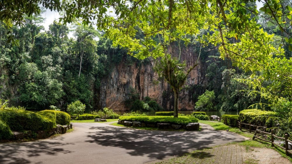 Bukit Batok Nature Park