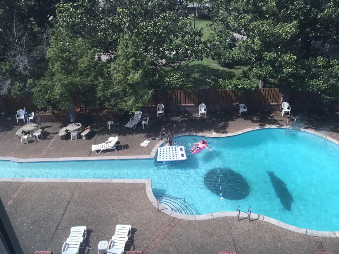 Guitar-shaped pool at Cash, Presley & Beatles Loved It