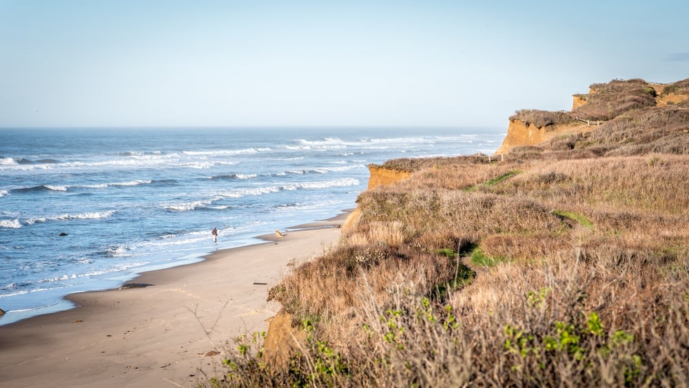 Ditch Plains, Montauk