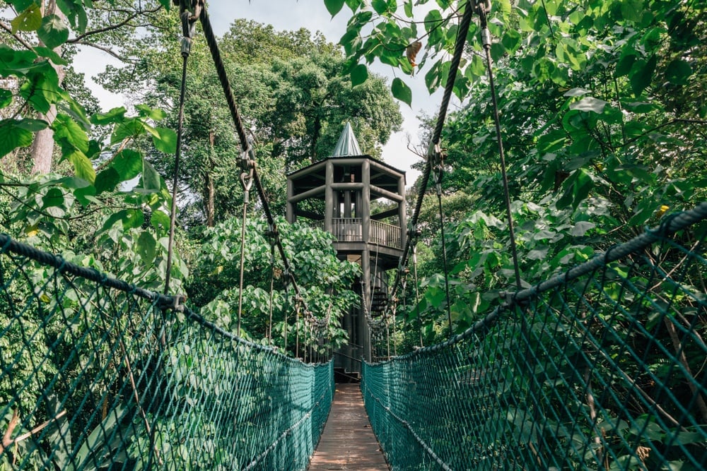 Kuala Lumpur Forest Eco Park