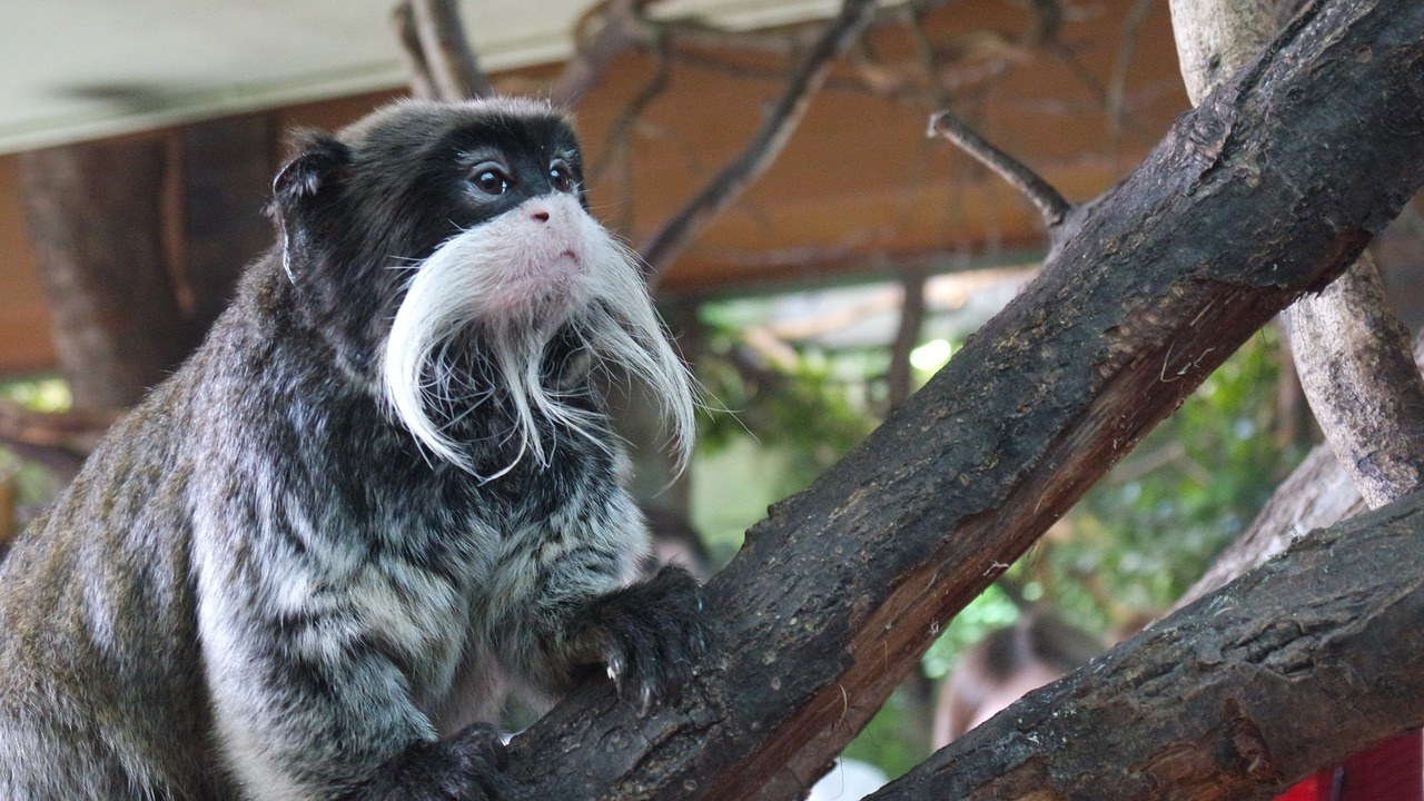 London Zoo