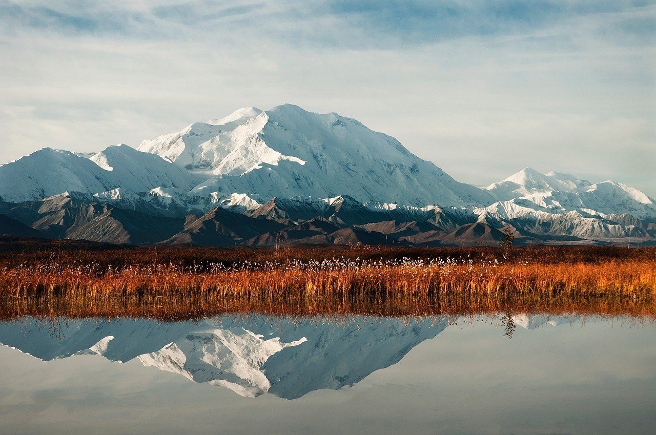 McKinley Park, Denali