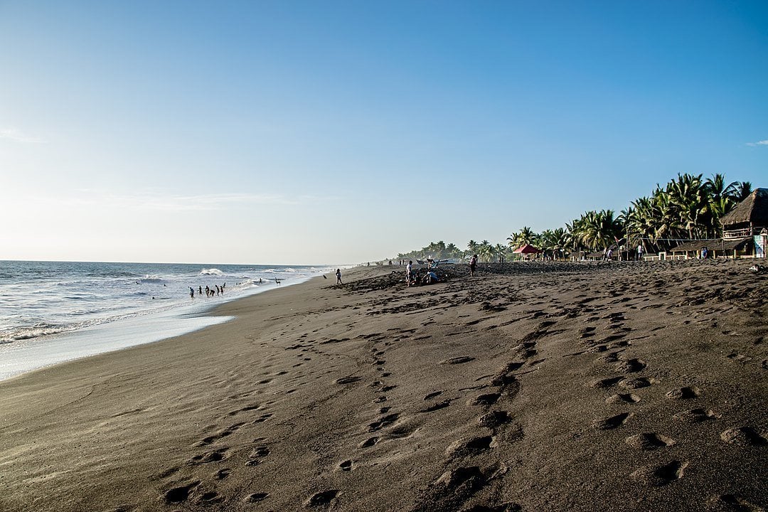 Pacific Beaches of Monterrico and Paredon, Guatemala