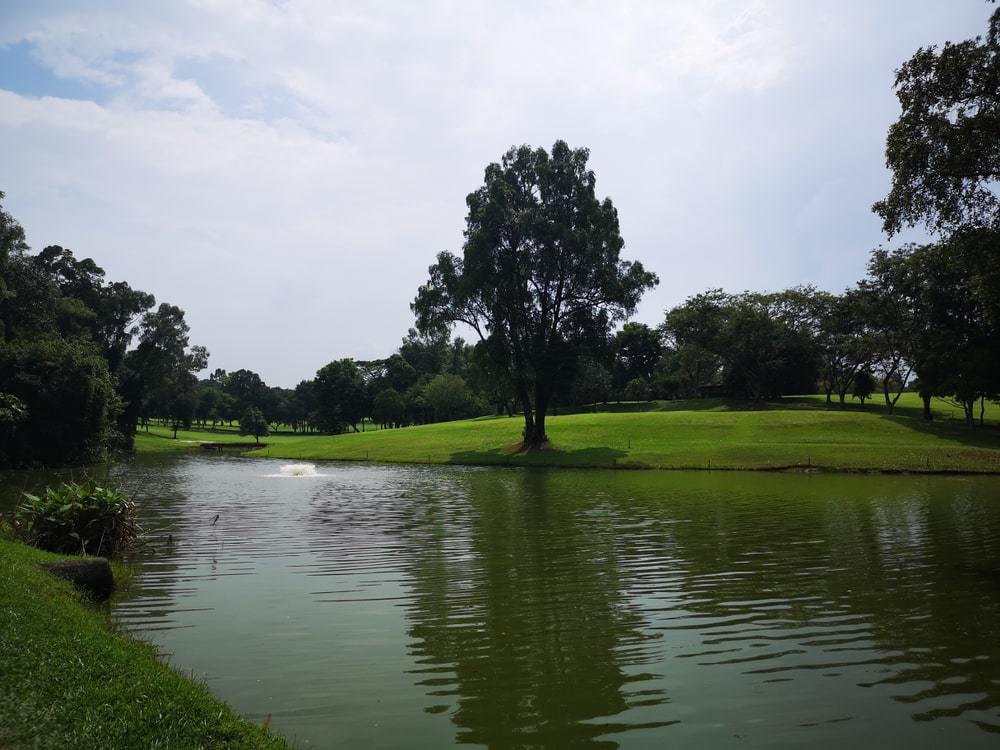 Central Catchment Nature Reserve